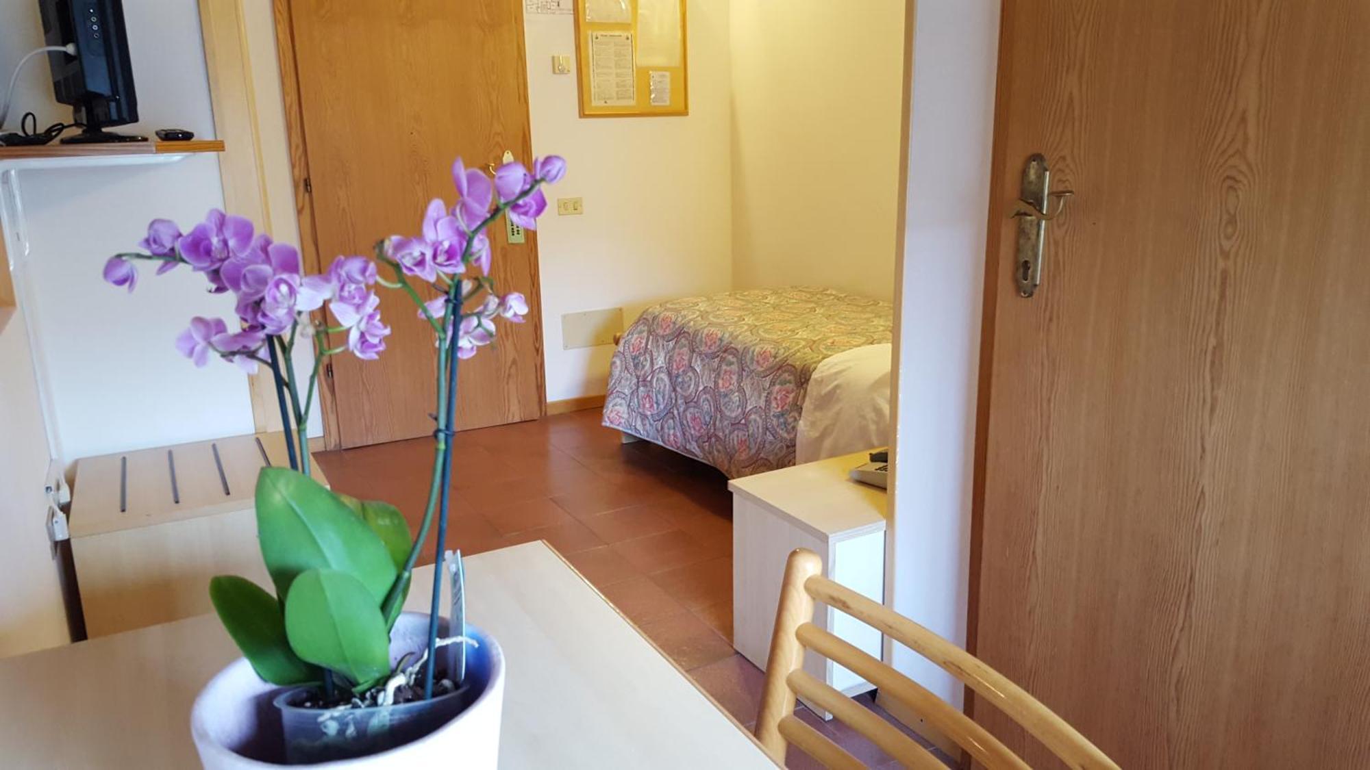 Hotel Trentino フォルガリーア エクステリア 写真