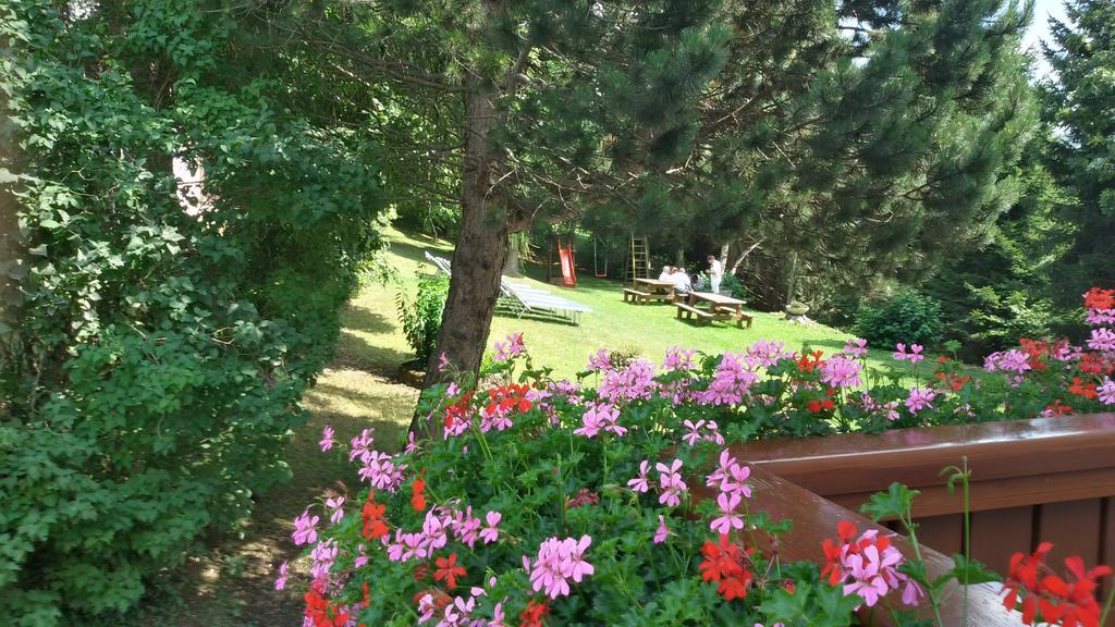 Hotel Trentino フォルガリーア エクステリア 写真